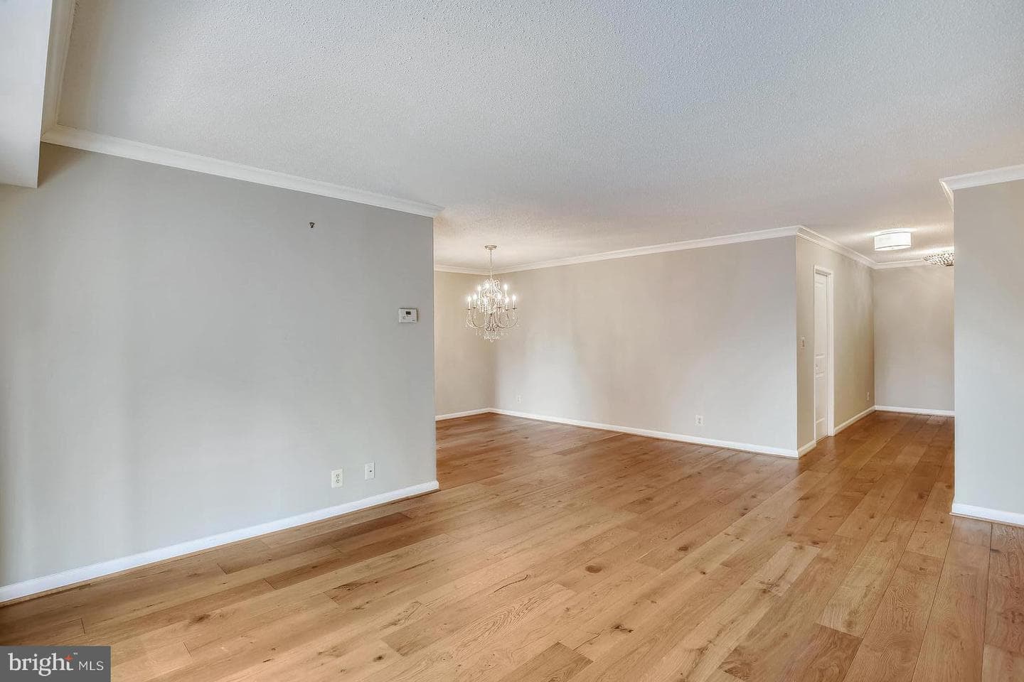 5902 Mount Eagle Drive #310 photo 10