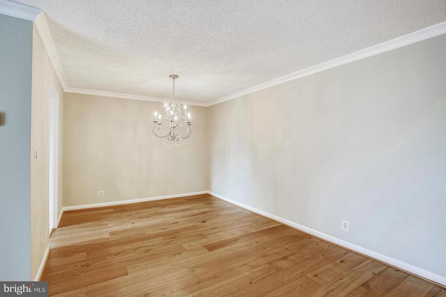 5902 Mount Eagle Drive #310 photo 12