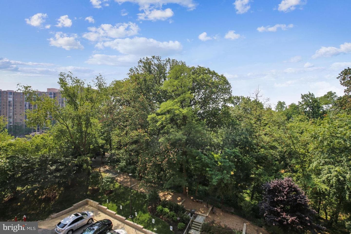 5902 Mount Eagle Drive #310 photo 18