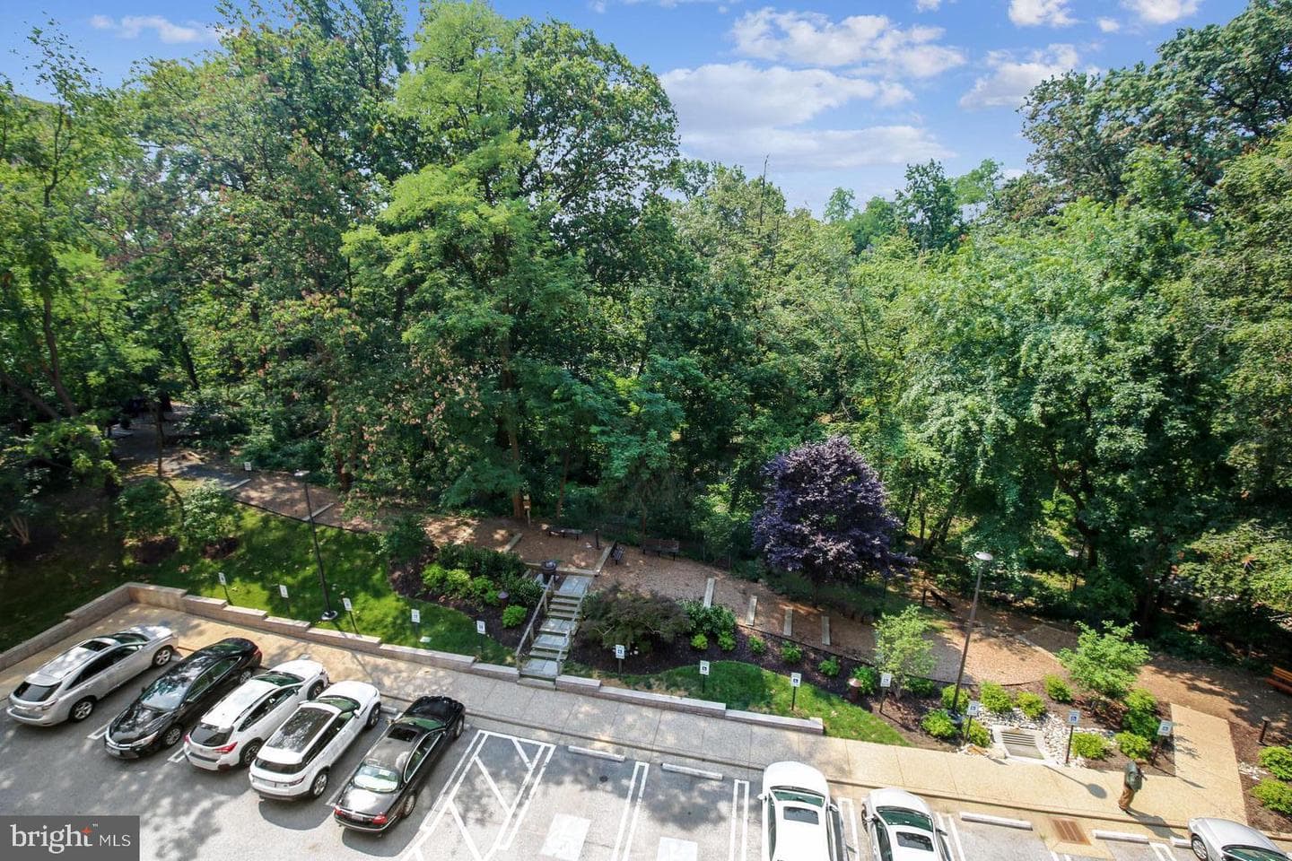 5902 Mount Eagle Drive #310 photo 19