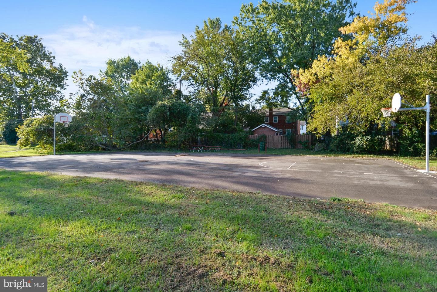 5902 Mount Eagle Drive #310 photo 50