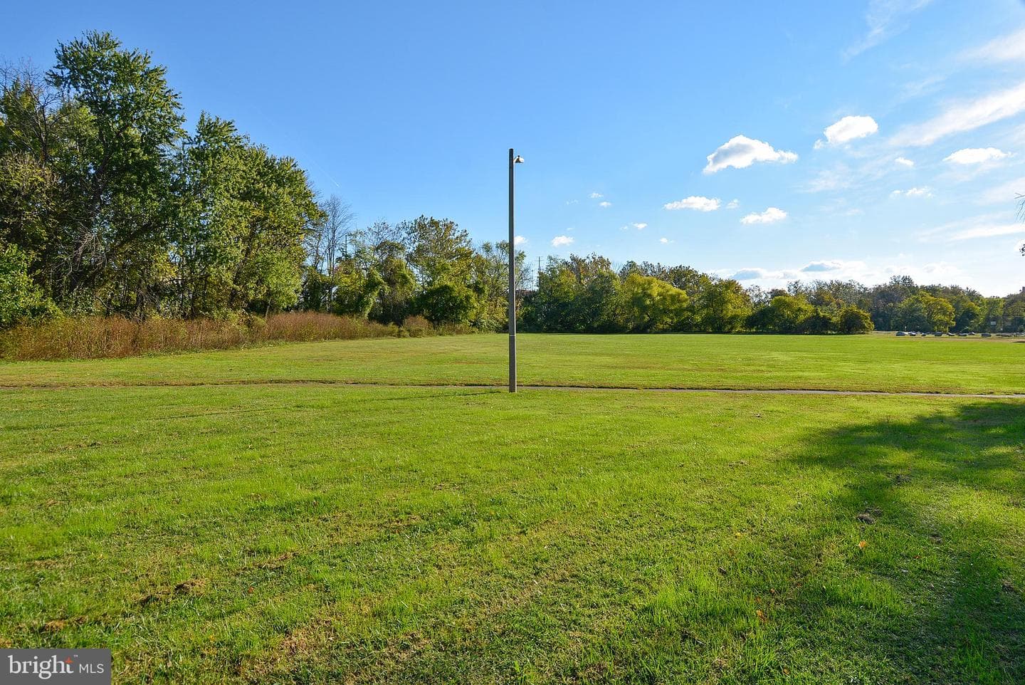 5902 Mount Eagle Drive #310 photo 51