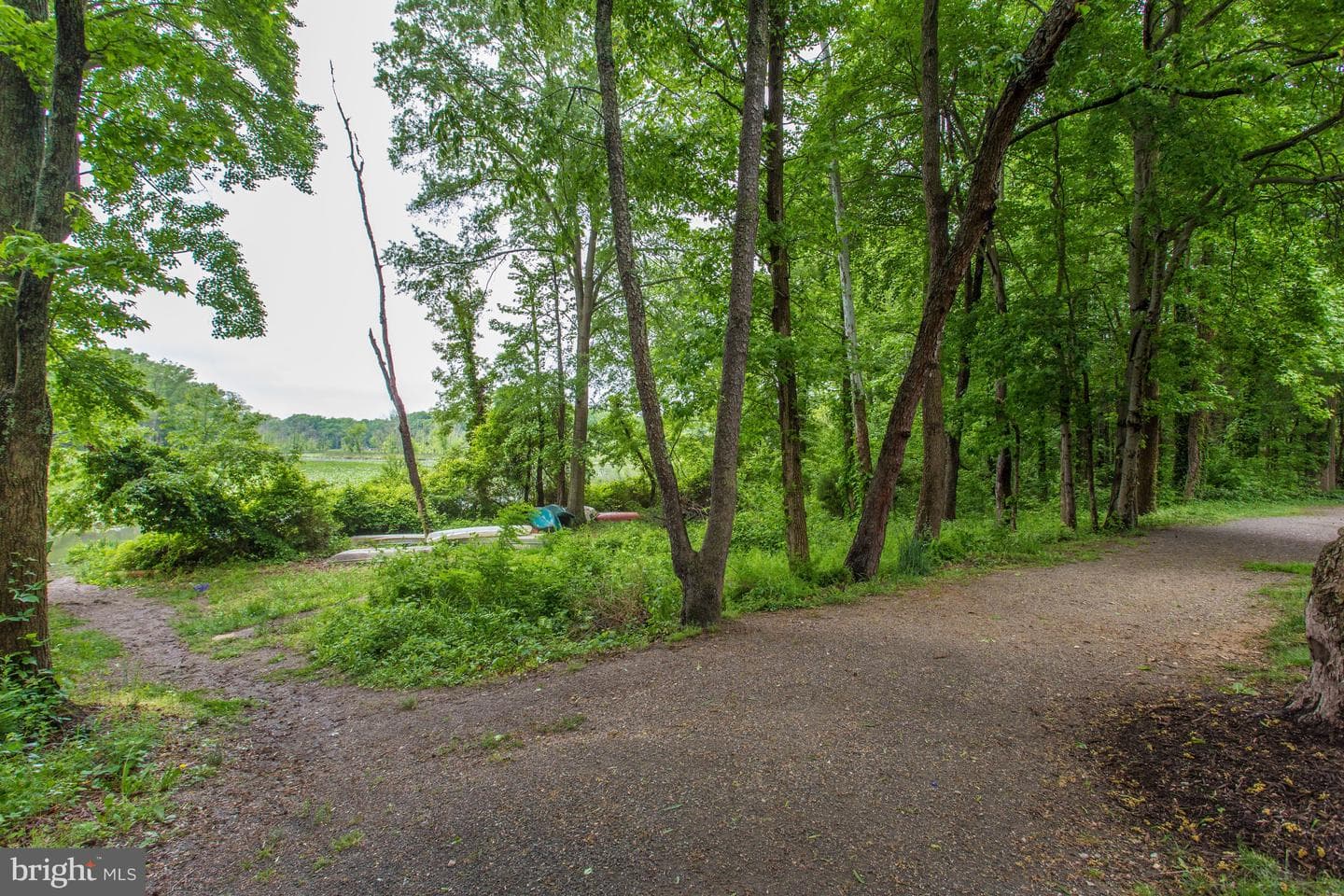 8213 Clifton Farm Court photo 62