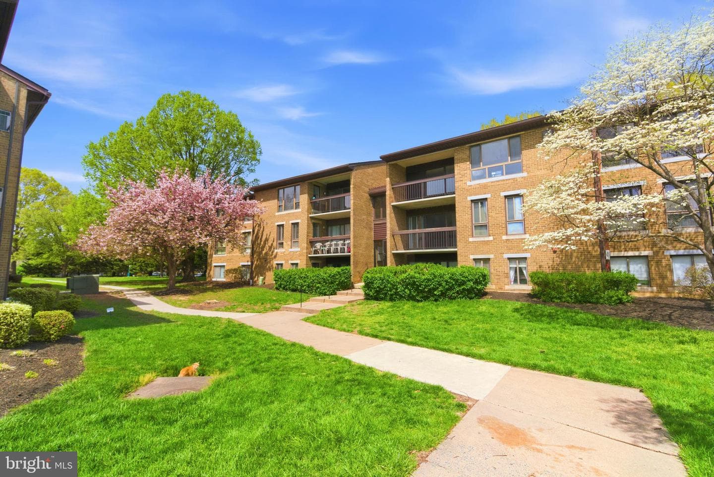 561 Florida Avenue #204