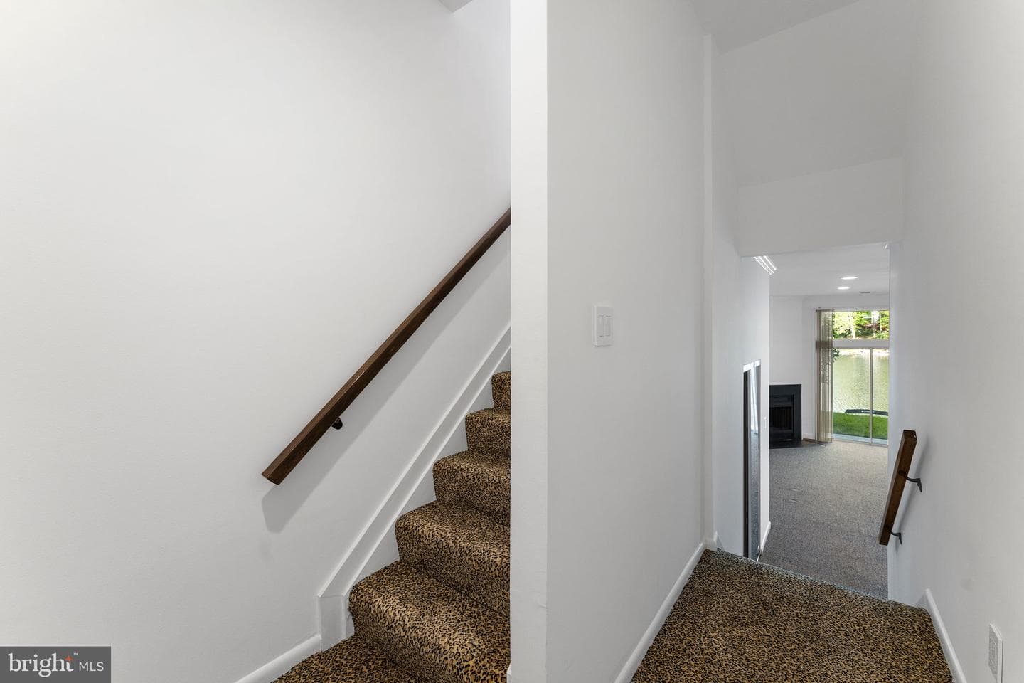 11163 Lake Chapel Lane photo 50