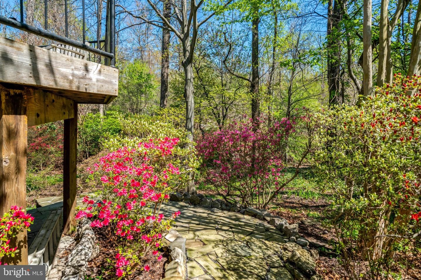 4221 Oak Hill Drive photo 45