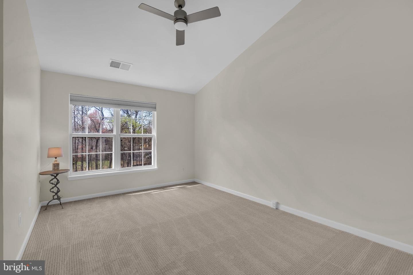 11481 Carriage Gate Court photo 22
