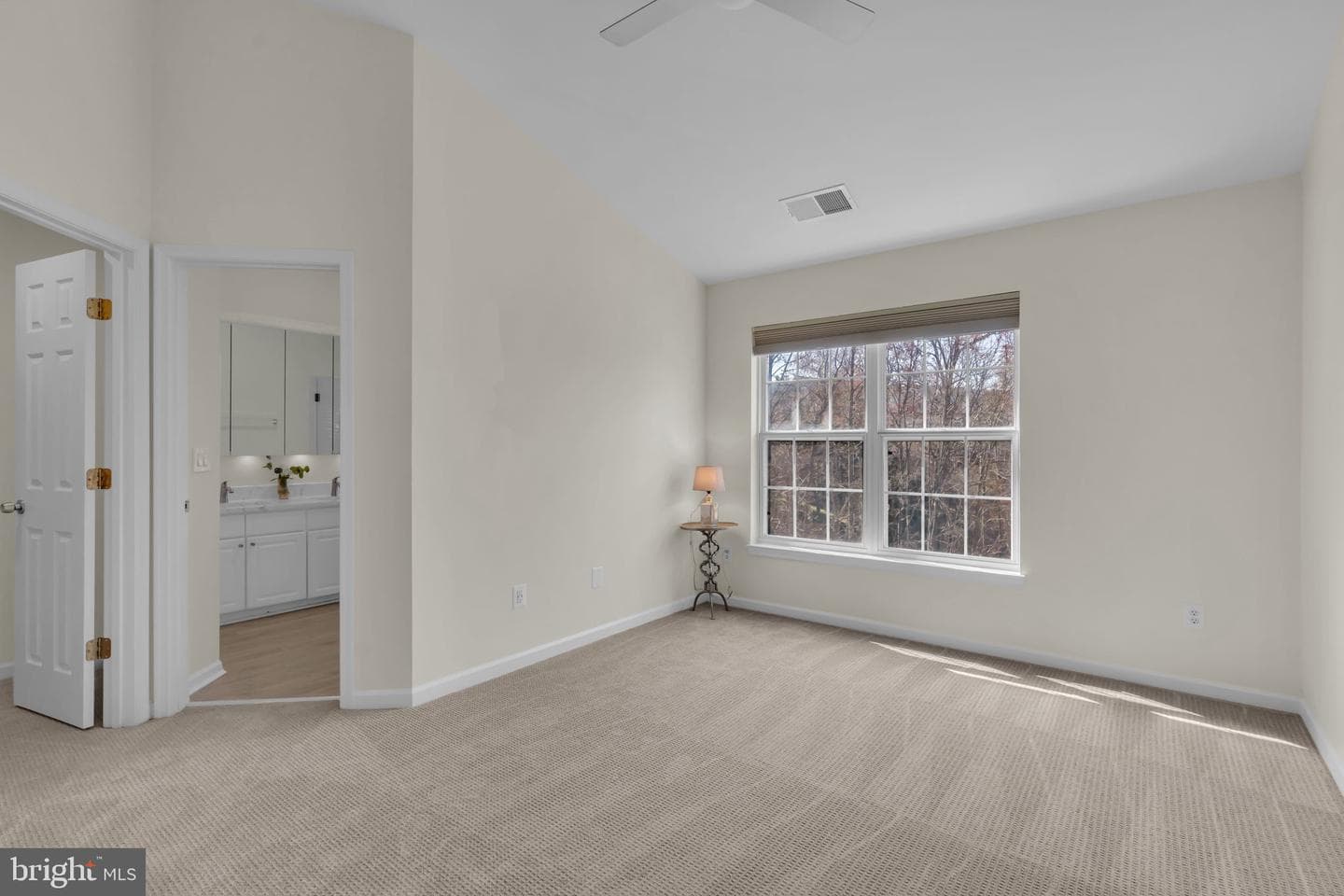 11481 Carriage Gate Court photo 24