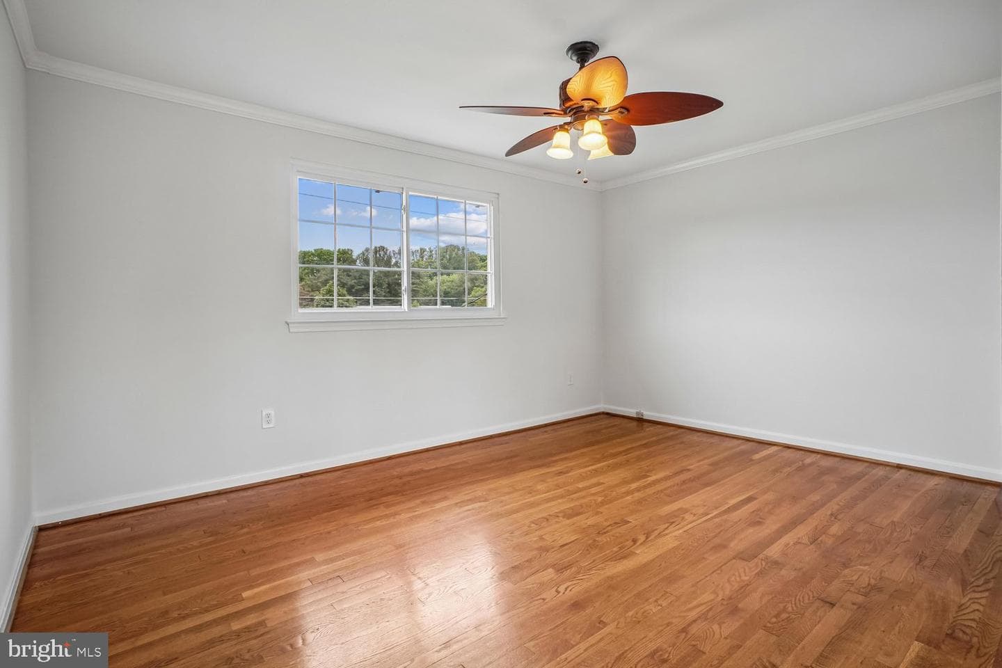8933 Burke Lake Road photo 28