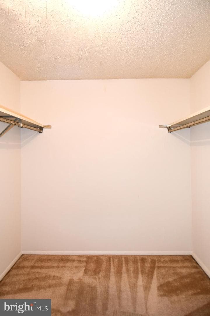 9803 Tara Court photo 31