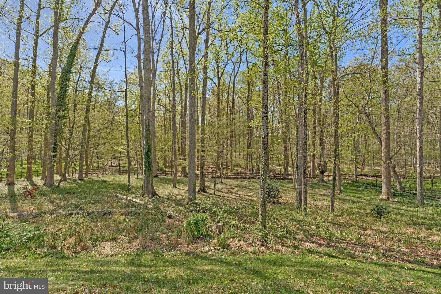 8611 Brook Road photo 98