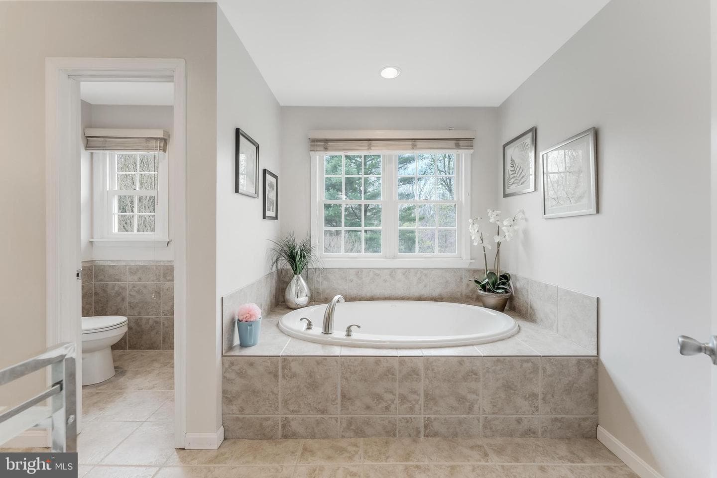 10417 Silk Oak Drive photo 42