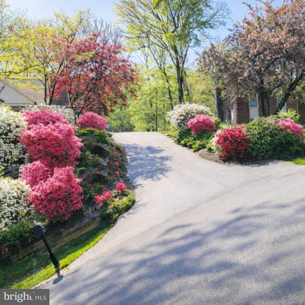 5006 Pheasant Ridge Road photo 56