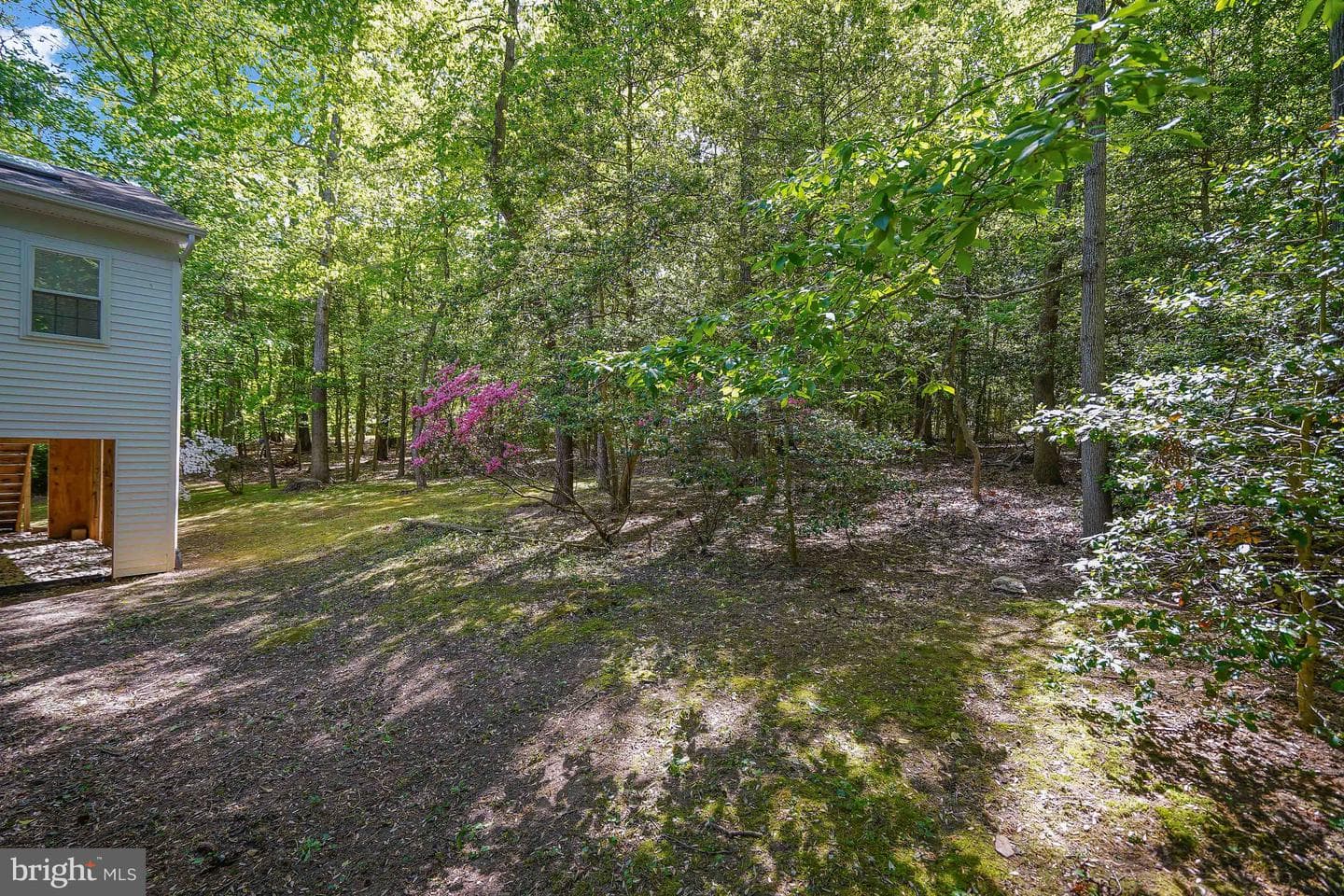 12305 Myterra Way photo 27