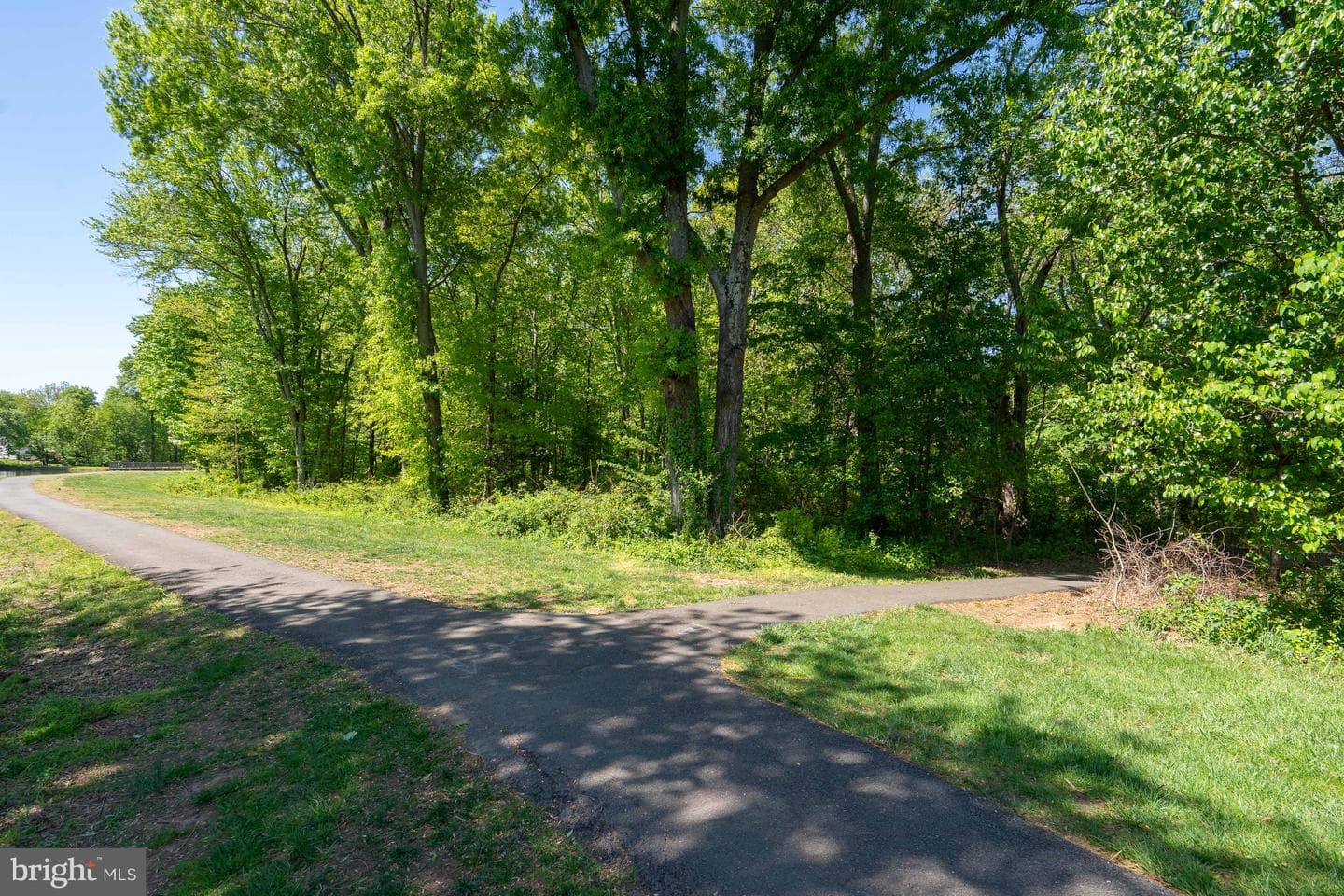 12305 Myterra Way photo 32