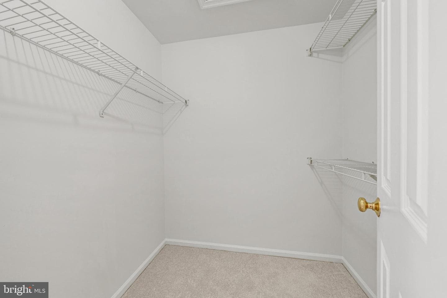 12312 Fox Lake Court photo 19