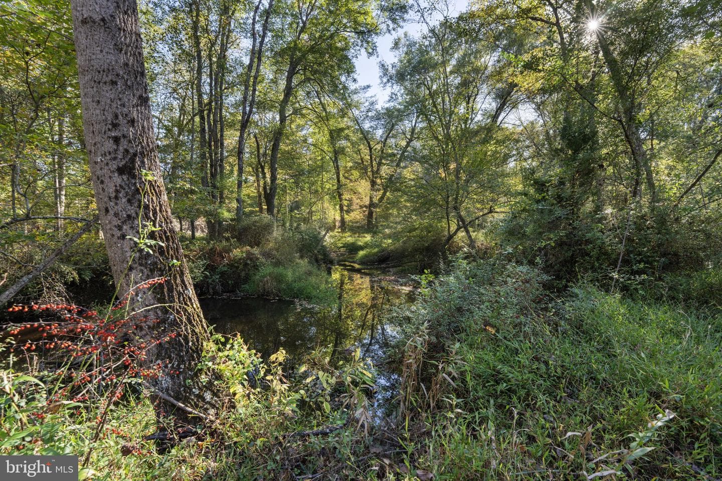 11561 Stuart Mill Road photo 71