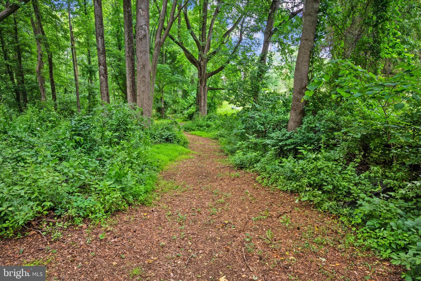 13112 Laurel Glen Road photo 37