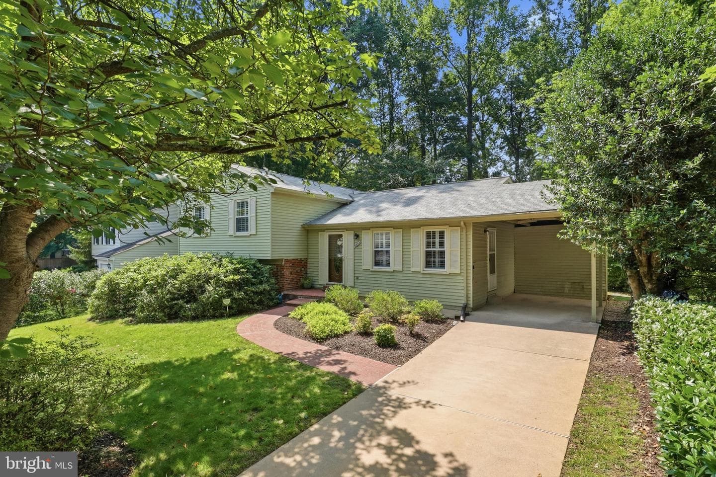 9303 Burnetta Drive photo 4