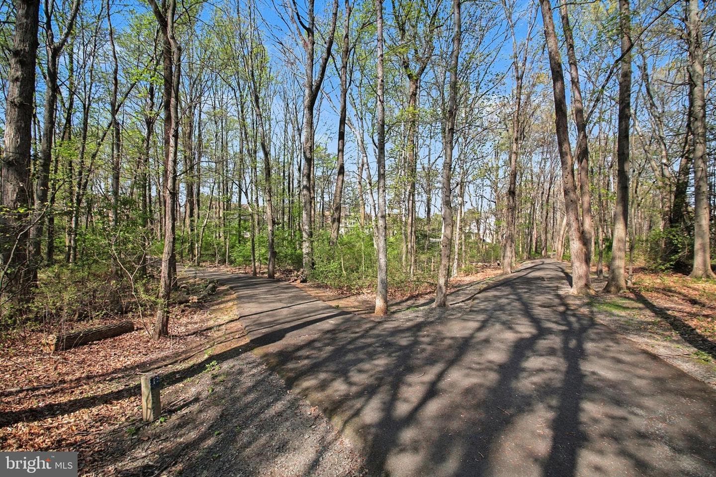11906 Crosswind Court photo 23