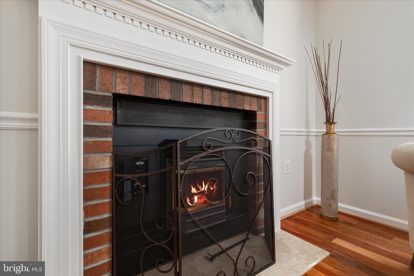 13132 Thornapple Place photo 20