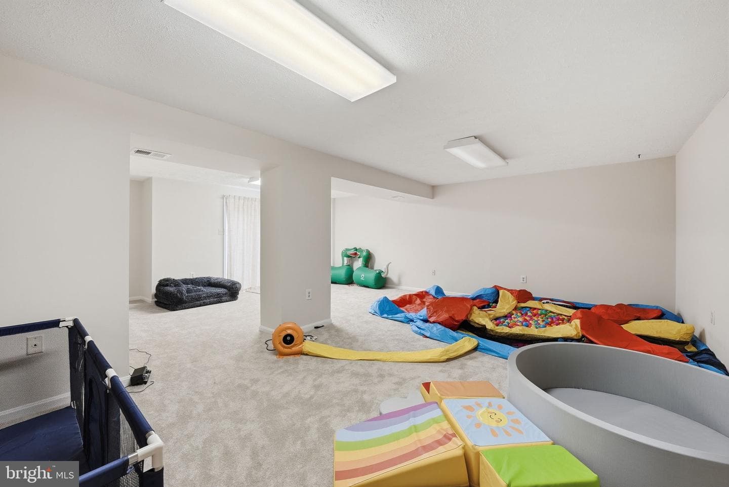 9800 Kohoutek Court photo 30
