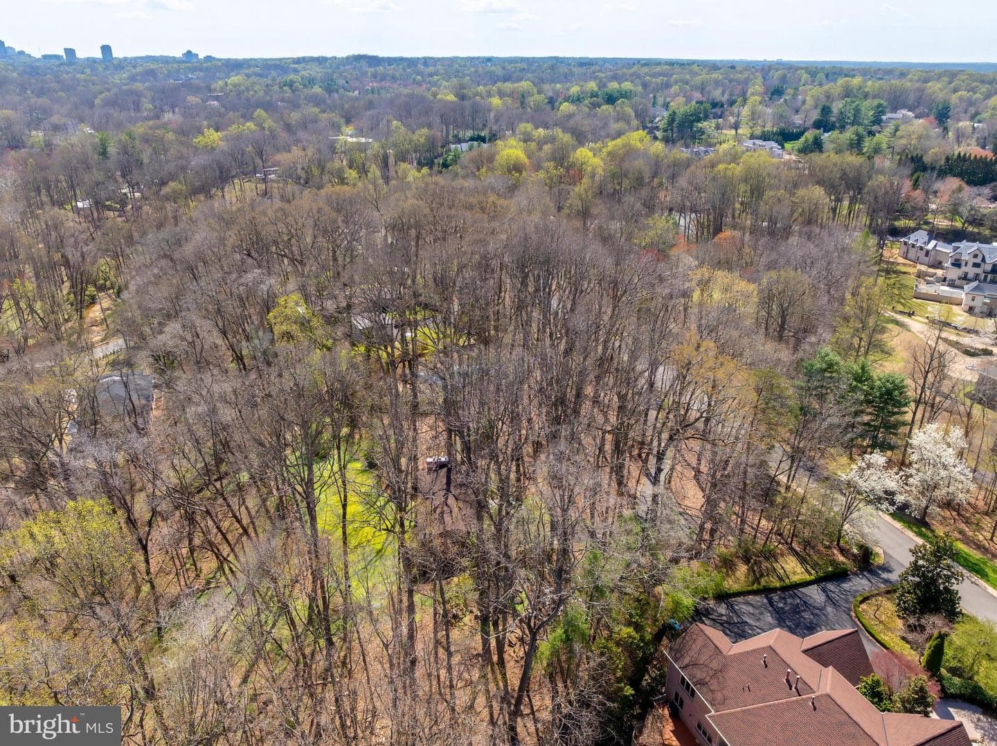 901 Chinquapin Road photo 10