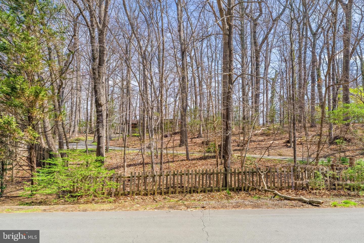 901 Chinquapin Road photo 13