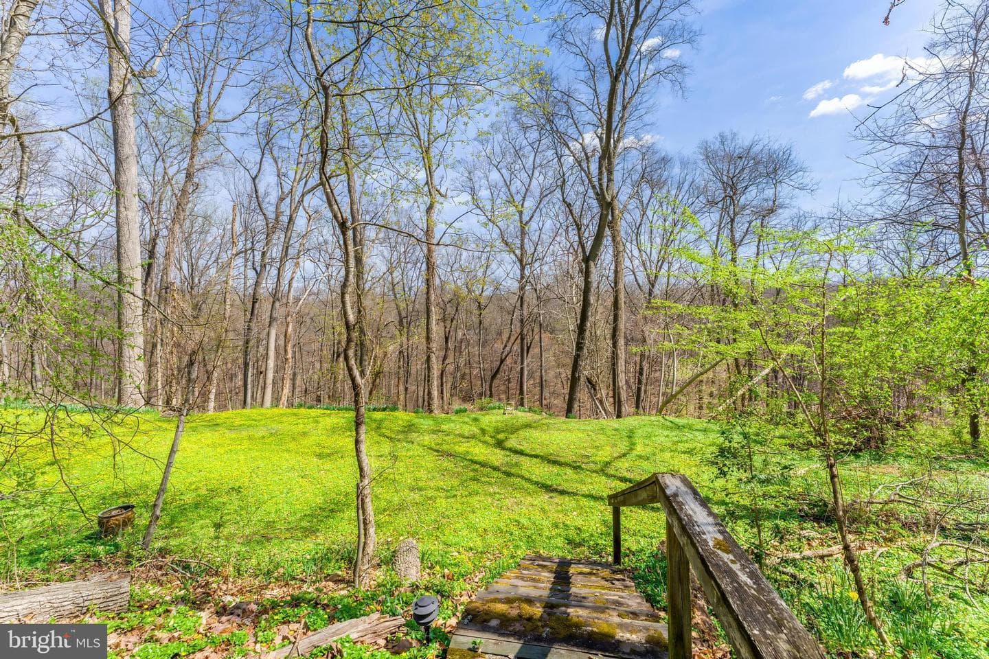 901 Chinquapin Road photo 8