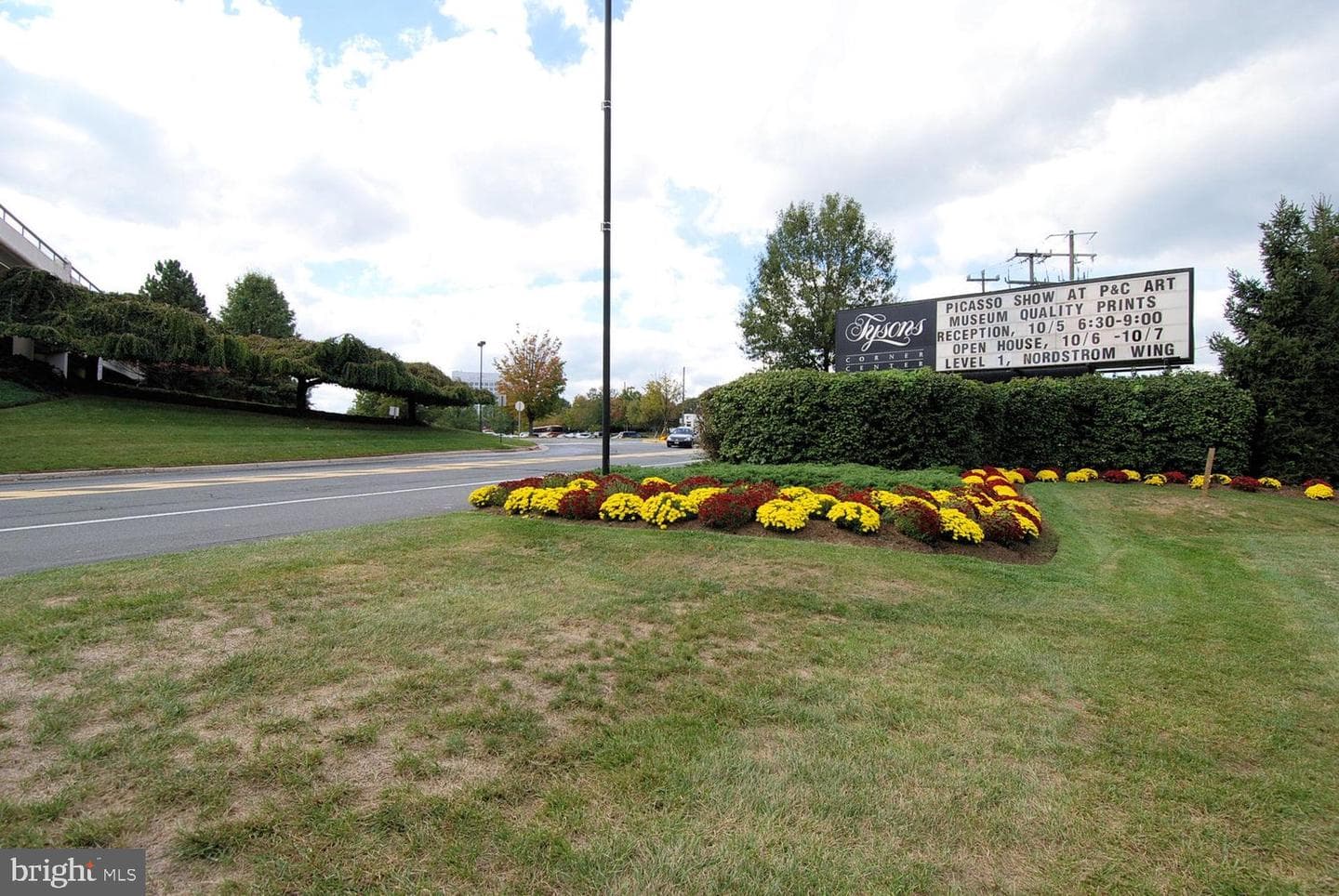 1521 Spring Gate Drive #10211 photo 38