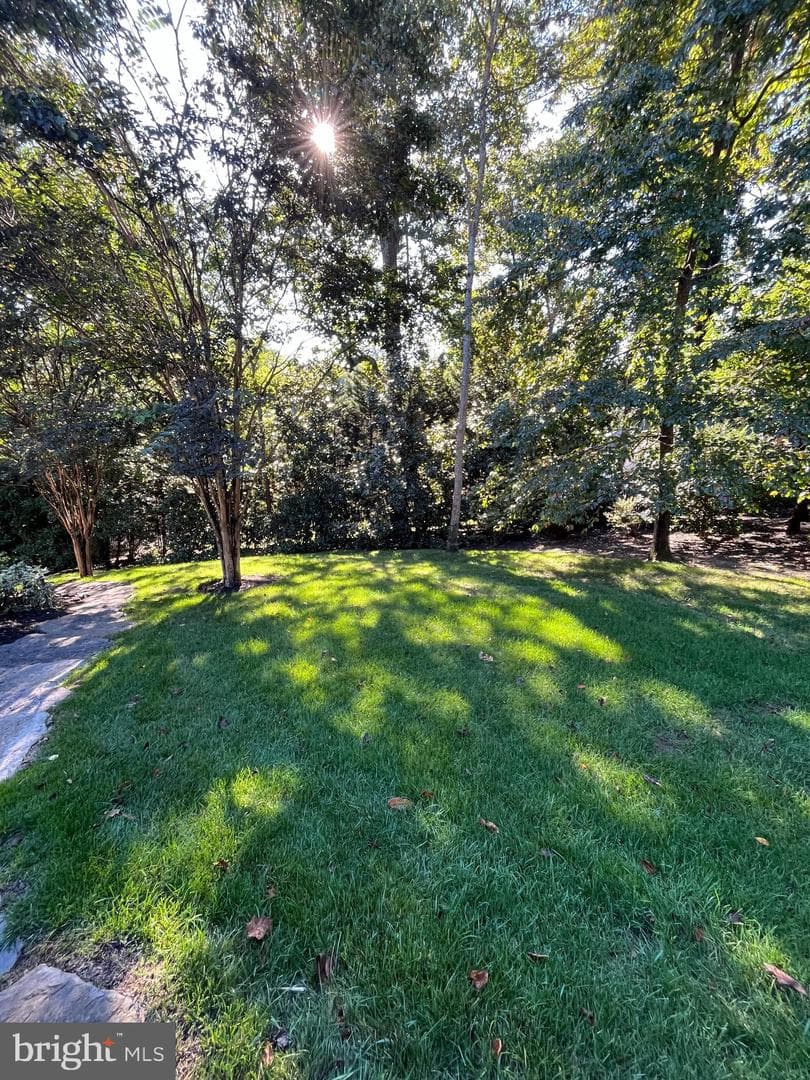1239 Daleview Drive photo 6