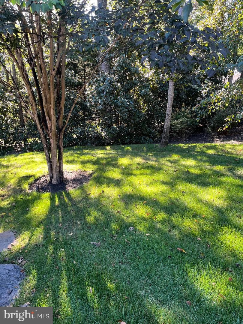 1239 Daleview Drive photo 72