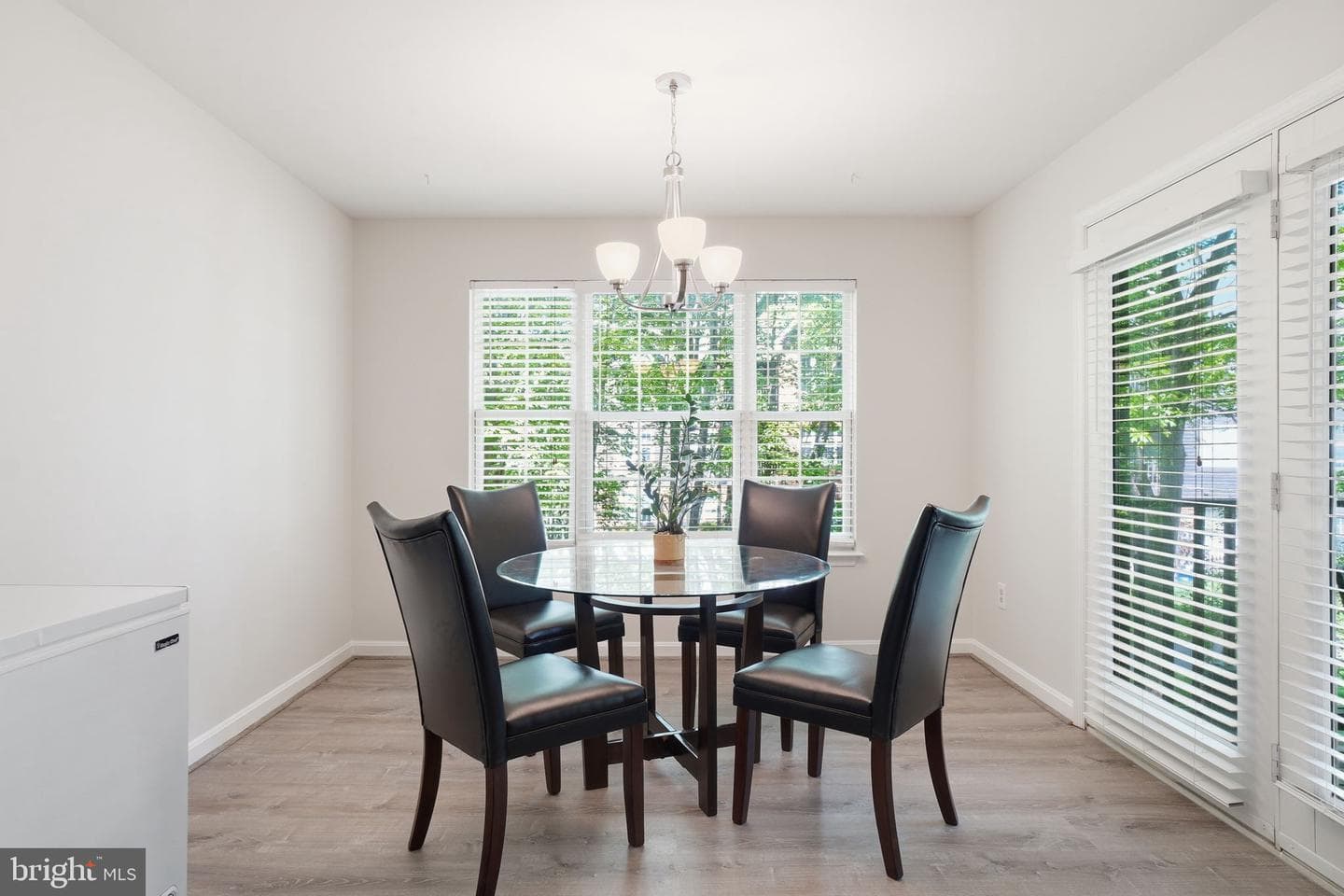 4116 Monument Court #204 photo 11