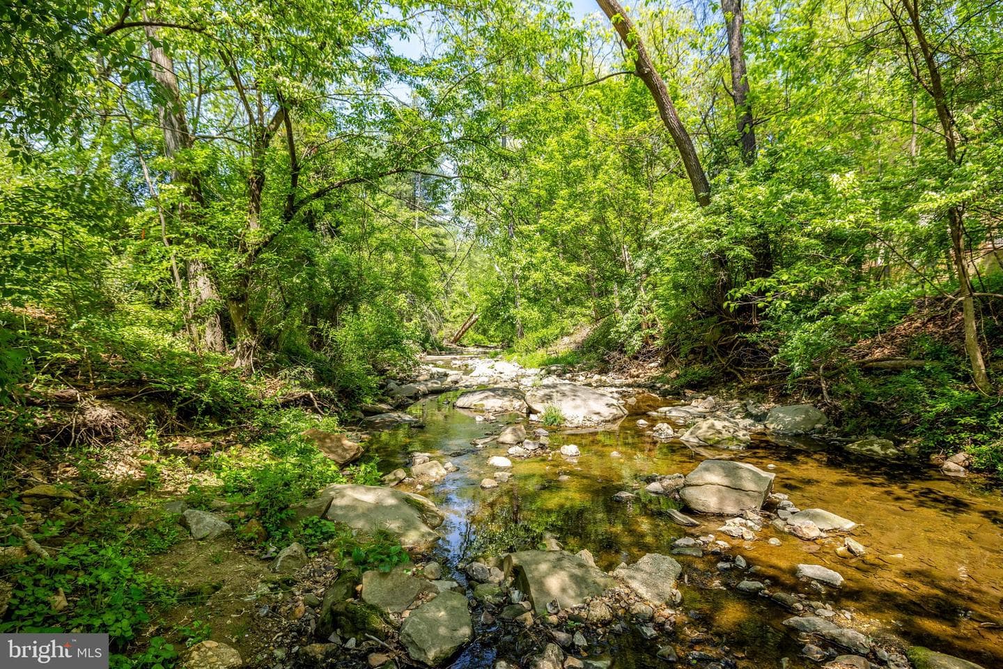 6116 Franklin Park Road photo 54