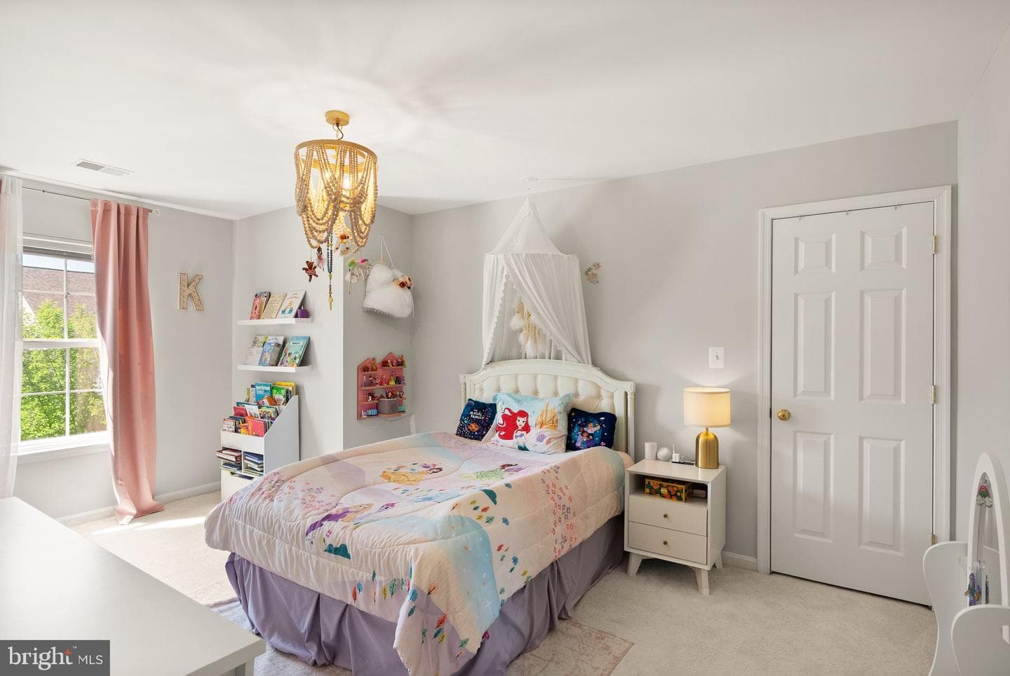 8929 Mayhew Court photo 28