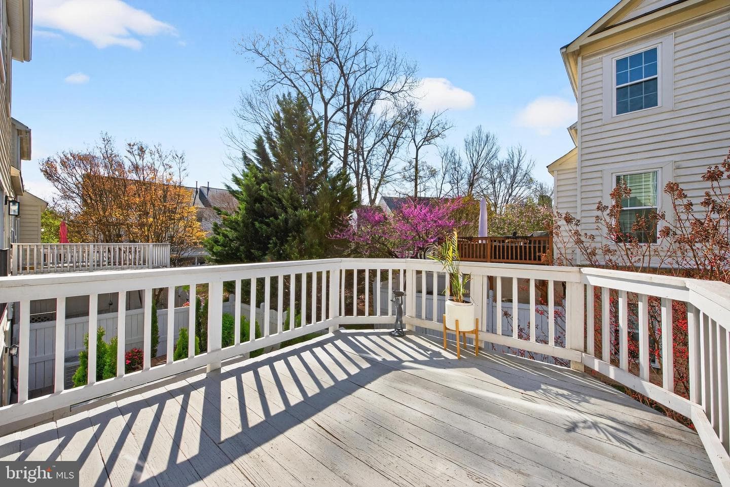 12017 Edgemere Circle photo 21