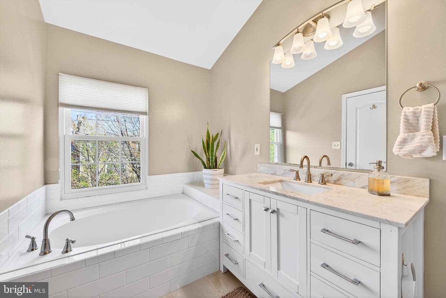 12017 Edgemere Circle photo 26