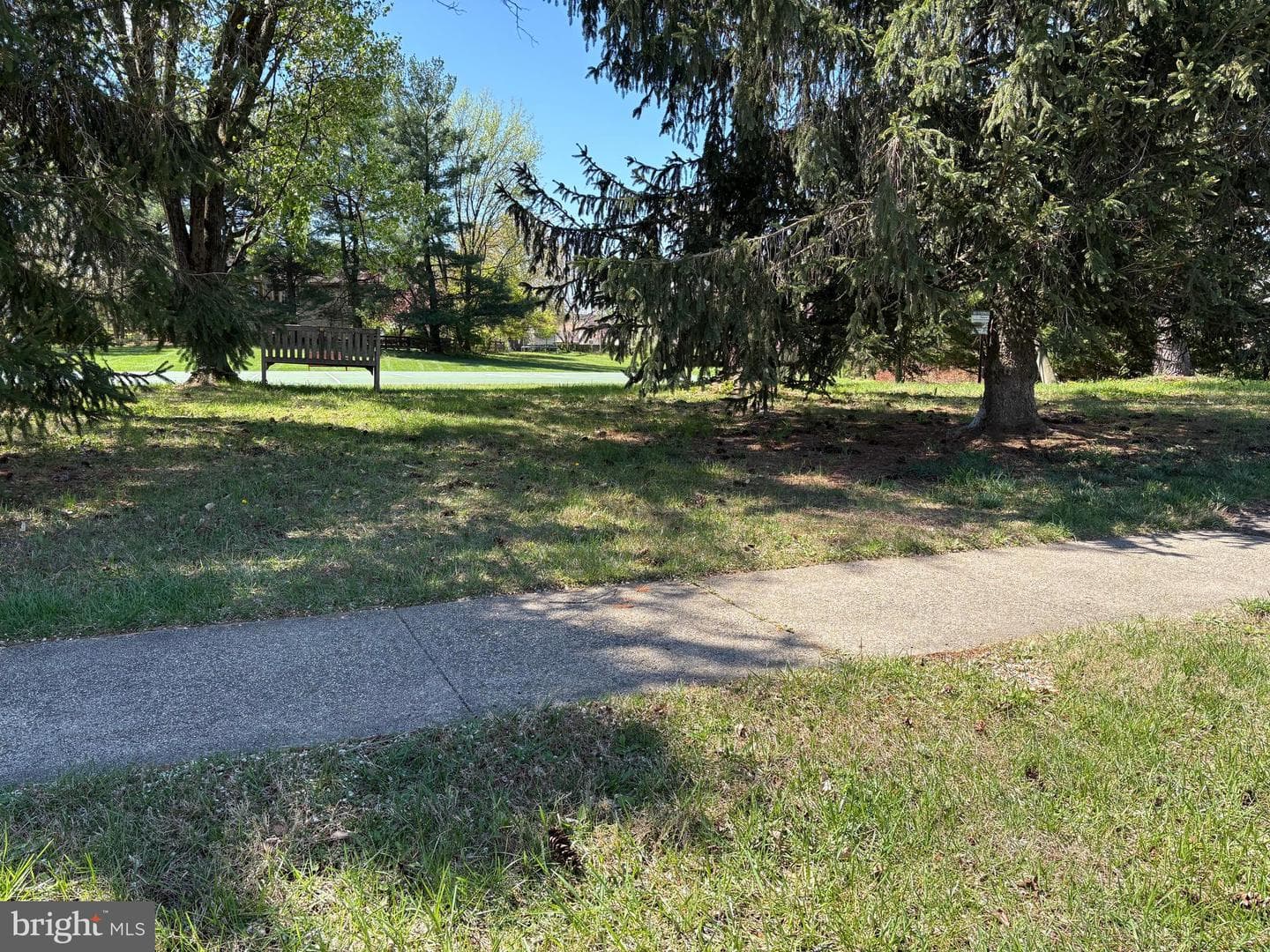 13392 Point Rider Lane photo 46