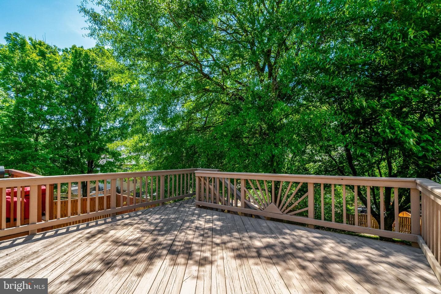 9227 Sheffield Hunt Court photo 54