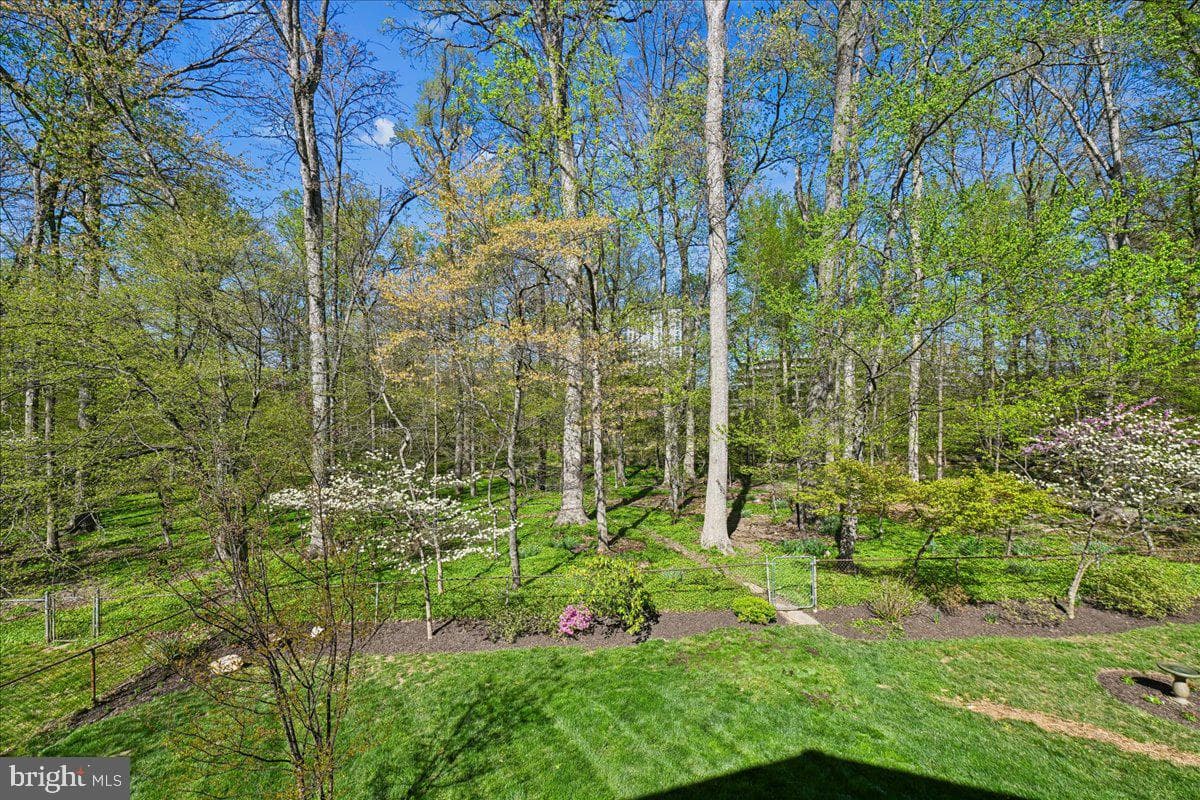 8722 Higdon Drive photo 72