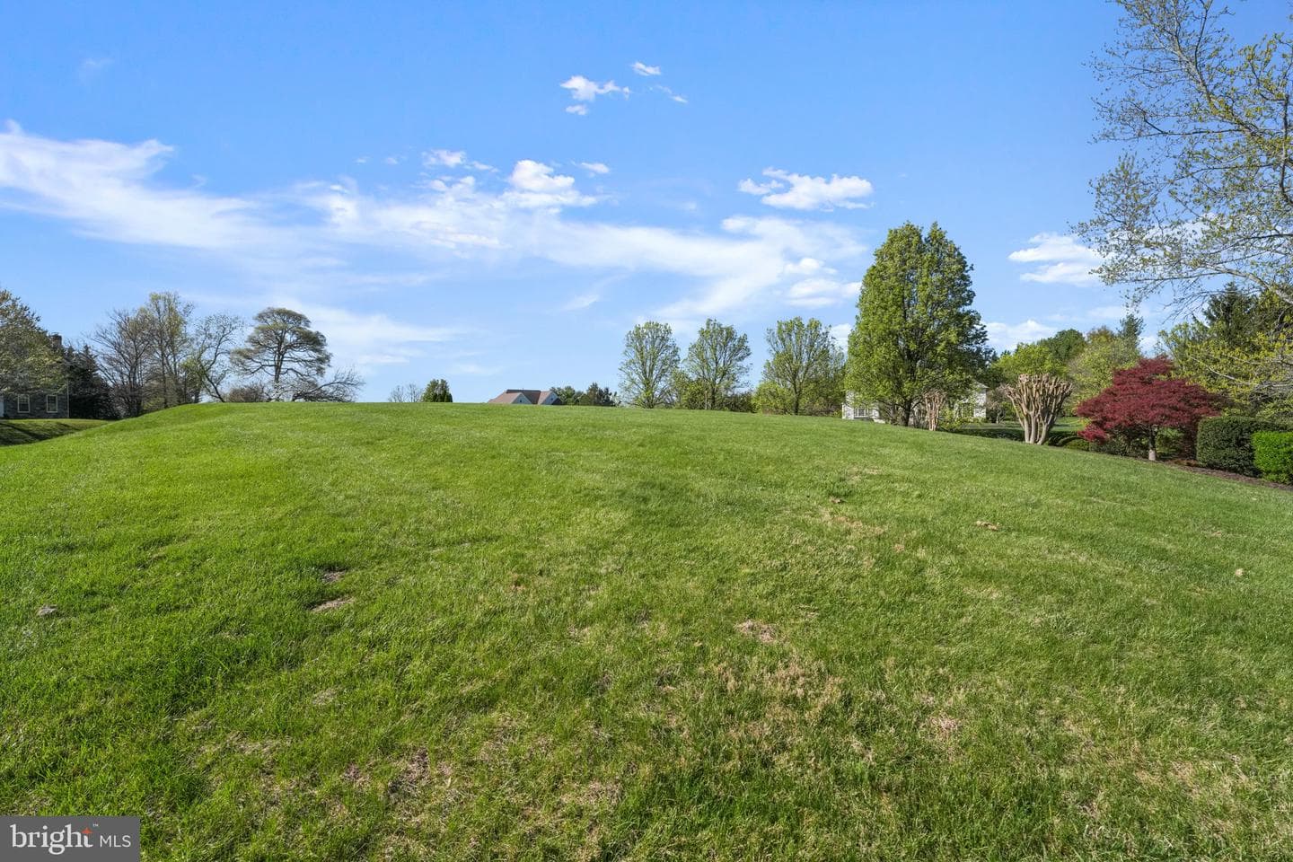 11431 Woolington Road photo 47