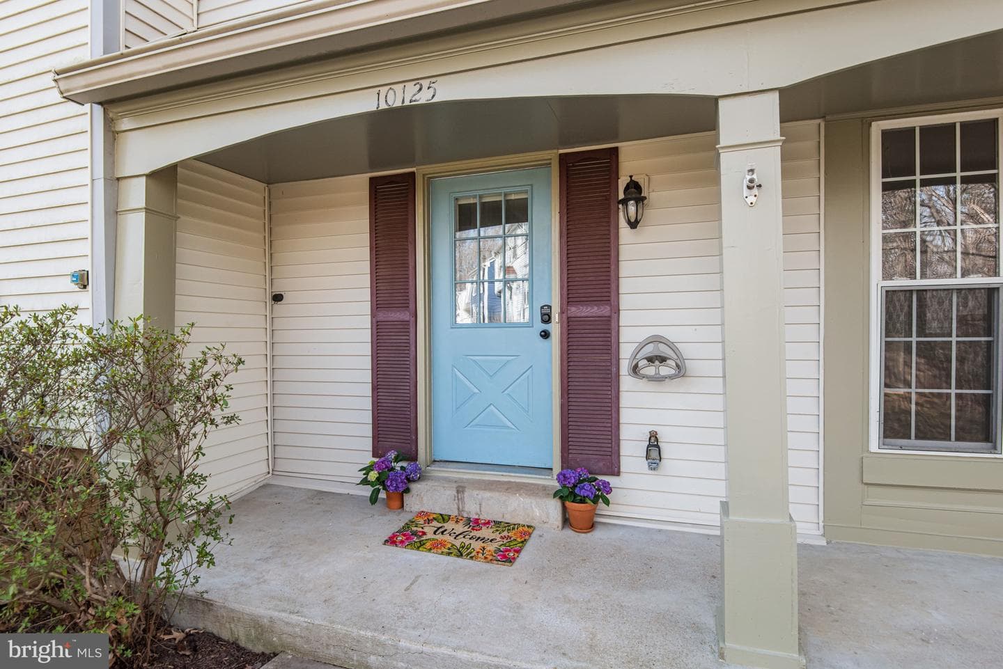 10125 Sassafras Woods Court photo 1