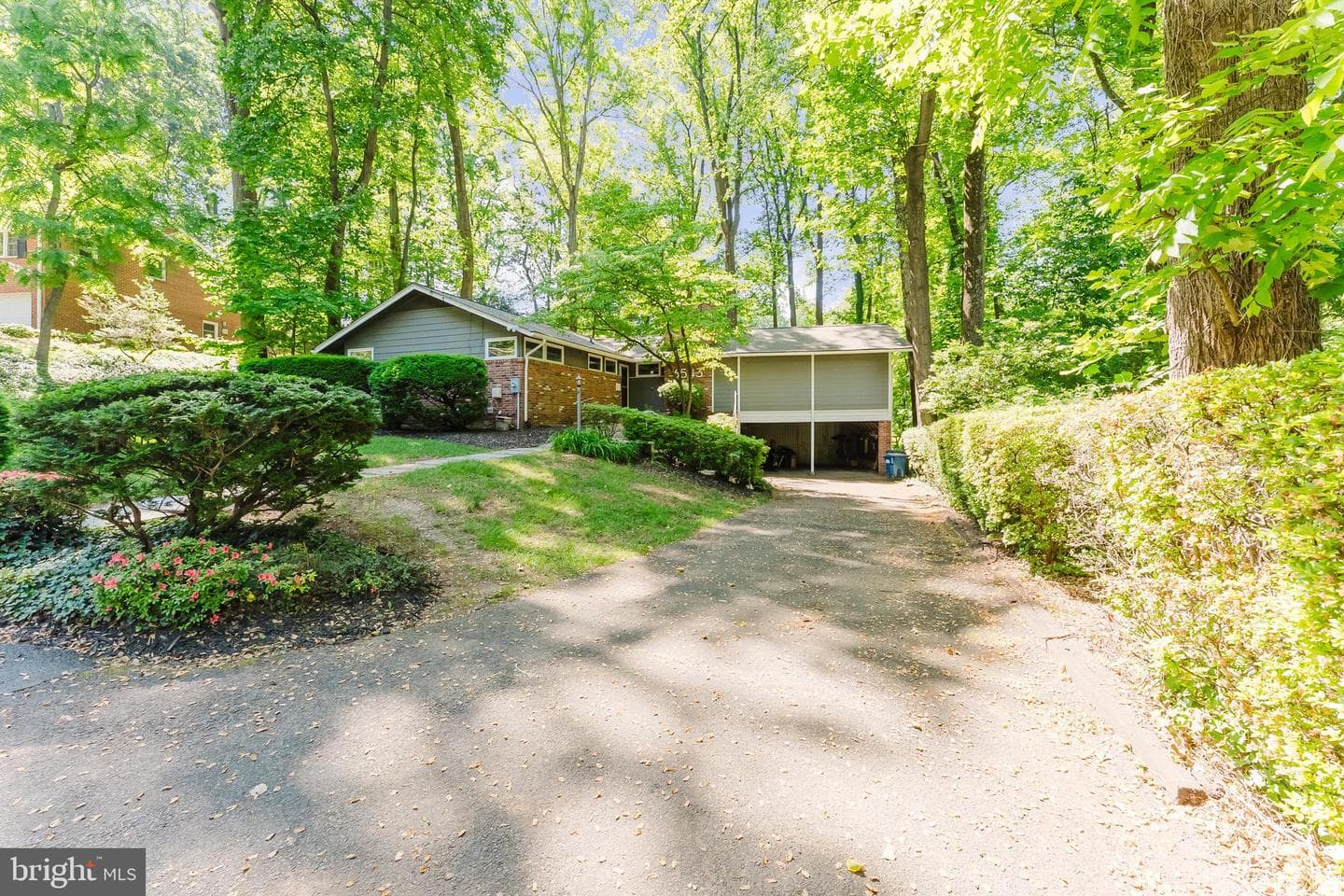 6543 Jay Miller Drive photo 41