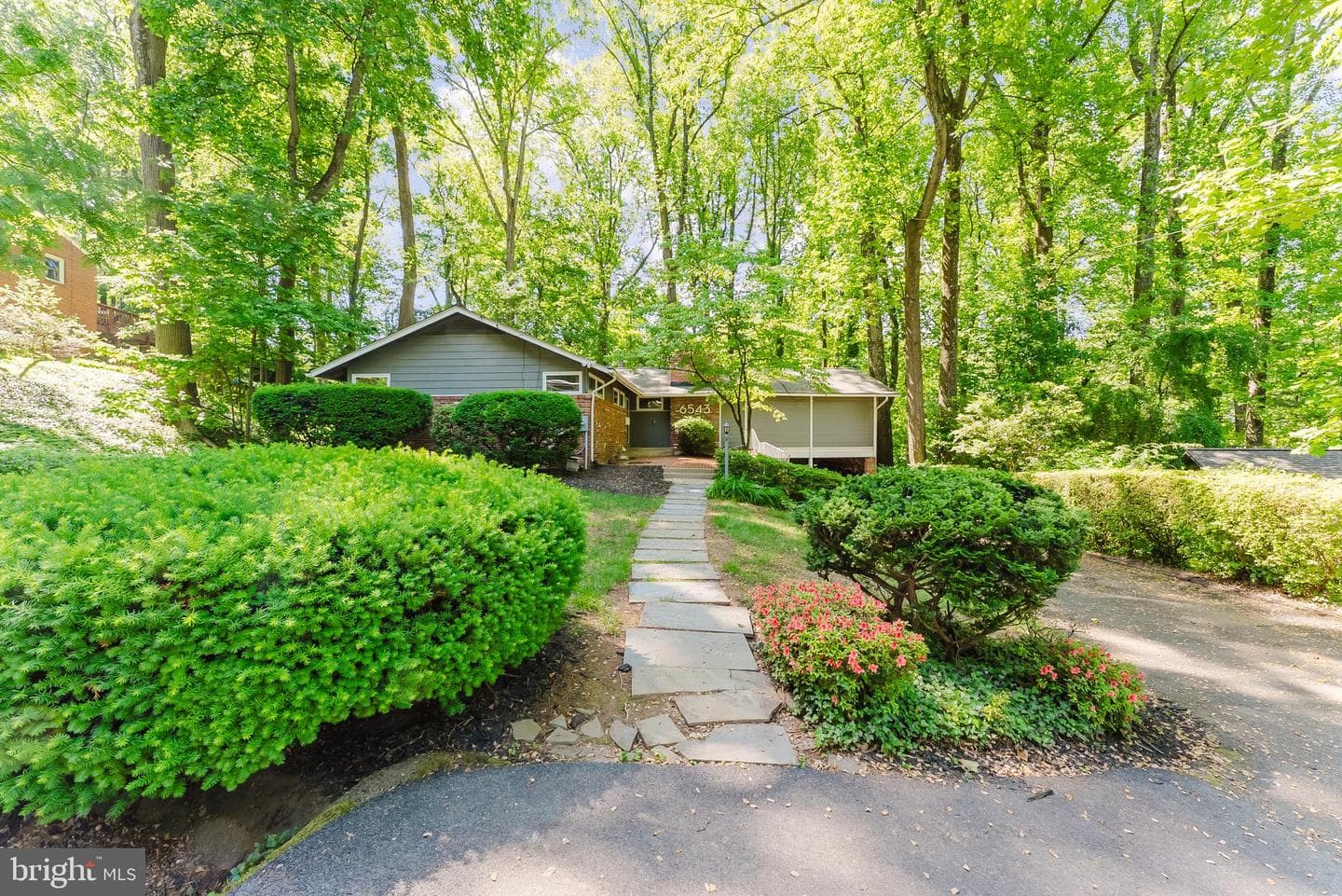 6543 Jay Miller Drive photo 8