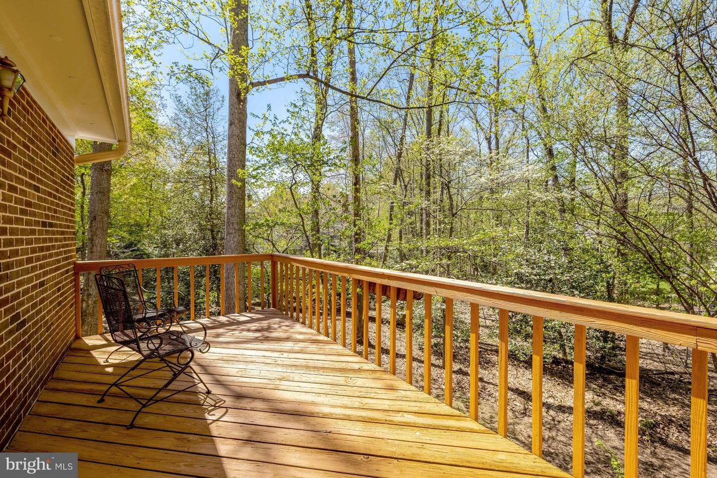 12186 Hickory Knoll Place photo 14
