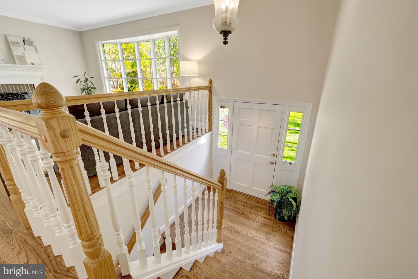 12186 Hickory Knoll Place photo 4