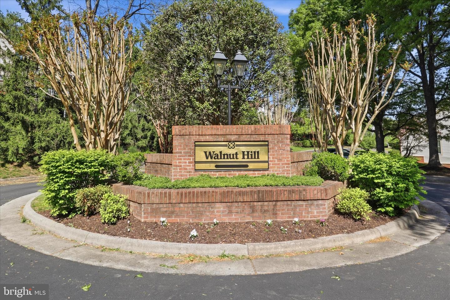3424 Silver Maple Place photo 3