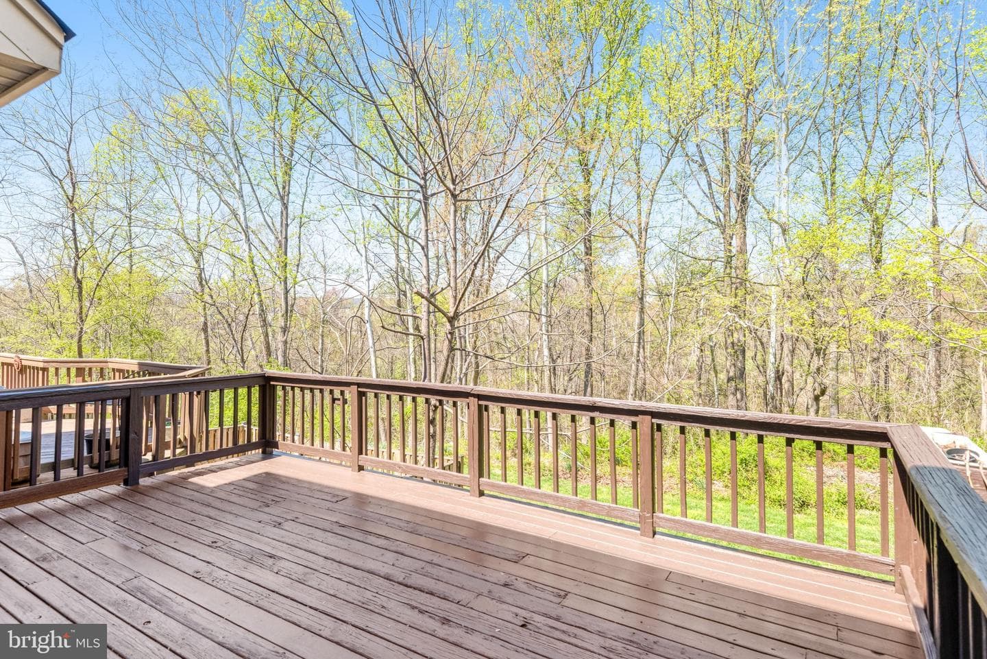 5216 Stoney Branch Court photo 10