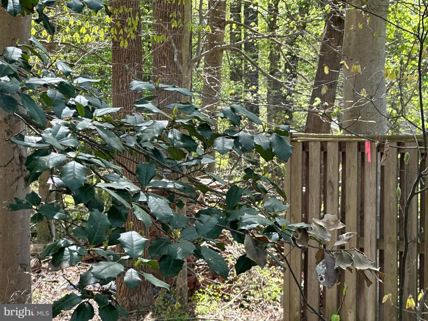 6001 Evergreen Trail photo 5