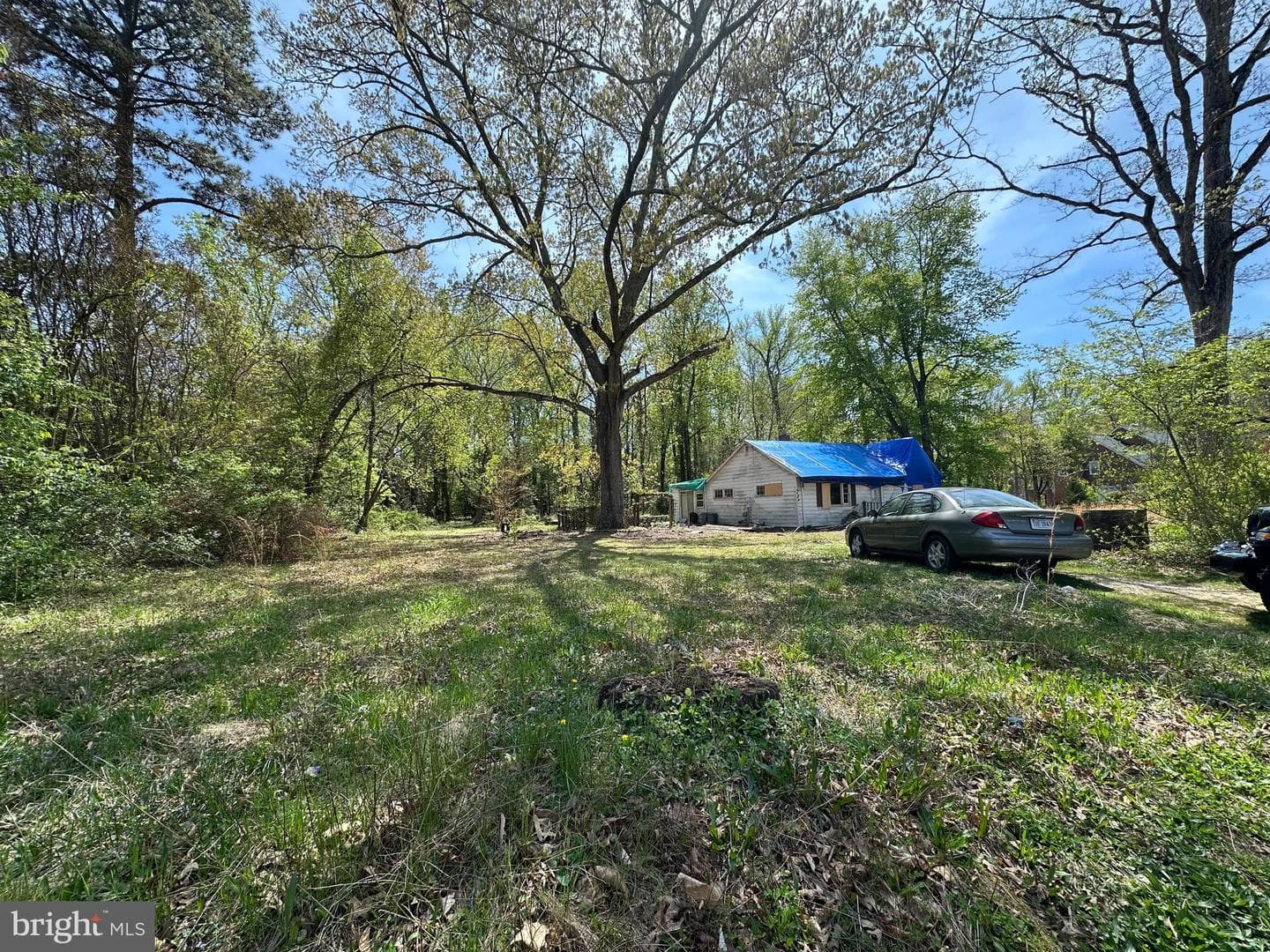 6001 Evergreen Trail photo 9